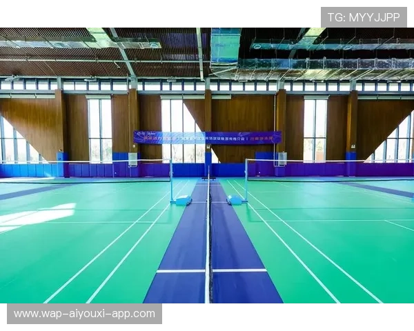 城市体育项目准入标准发布提升资源配置效率，城市体育设施