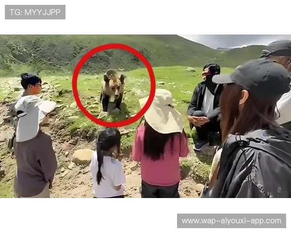 黑熊咬人酿悲剧，女子未能逃生，黑熊咬人视频是真的吗