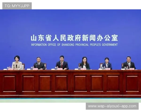 服务区域体育发展战略的权威新闻平台，服务区域是指什么