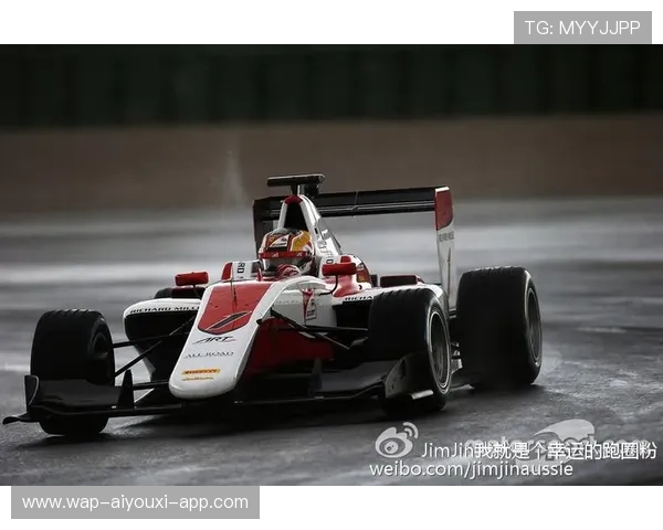 赛车青训体系发展与表现分析 赛车青训体系发展与表现分析