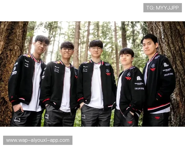 职业战队的粉丝群体运营